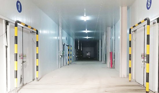 Jinwan Productos agrícolas Mercado mayorista