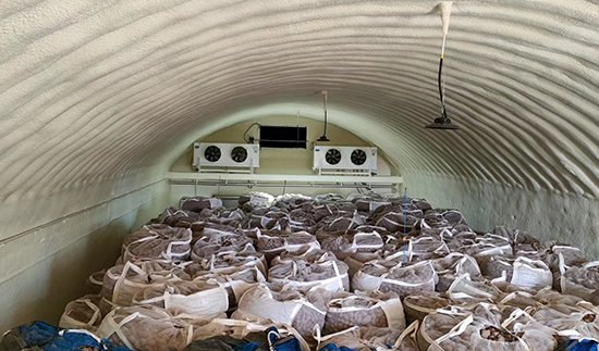 Cámara frigorífica de patatas